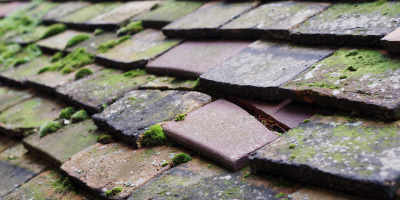 Hindley roof repair costs